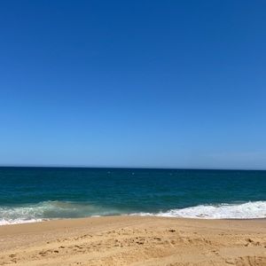 Meet your Posher, Annalise